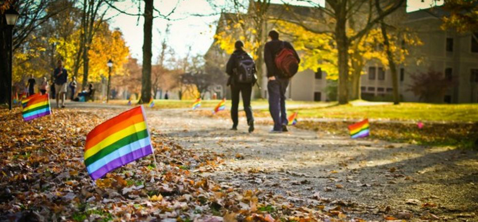 LGBT college students