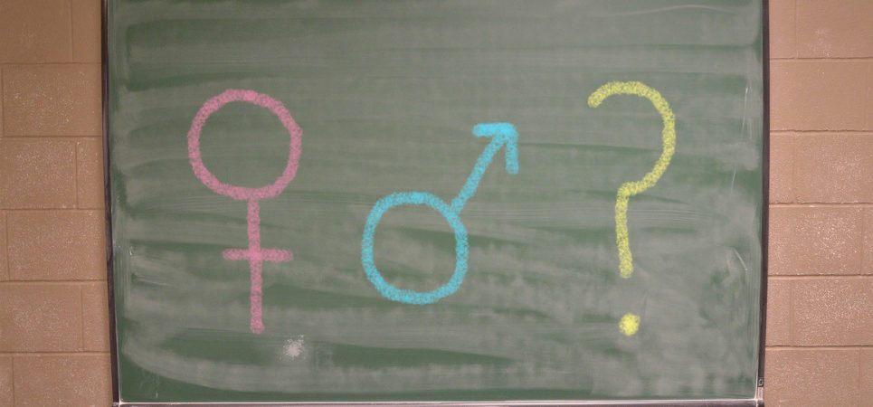 Queer sex education