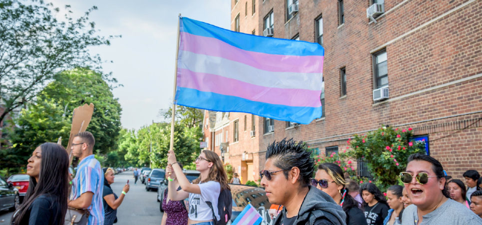 Idaho anti-transgender laws